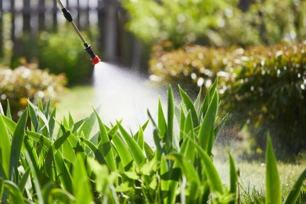 24/7 Emergency Rodent Control experts in Ripley, OH